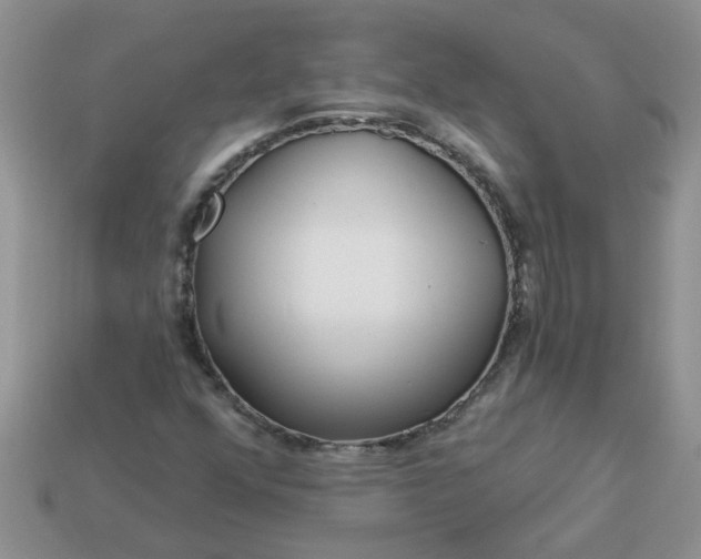 X0000113021352200909101829