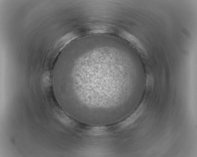 X0000113021353200909101829