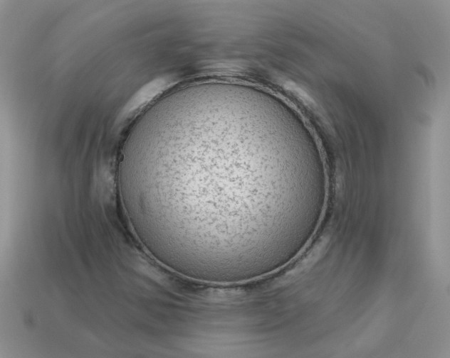 X0000113021354200909101829