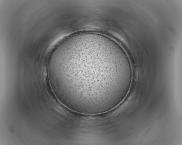 X0000113021355200909101829