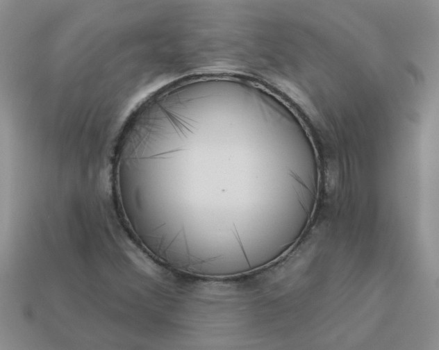 X0000113021356200909101829