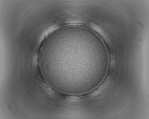 X0000113021357200909101829