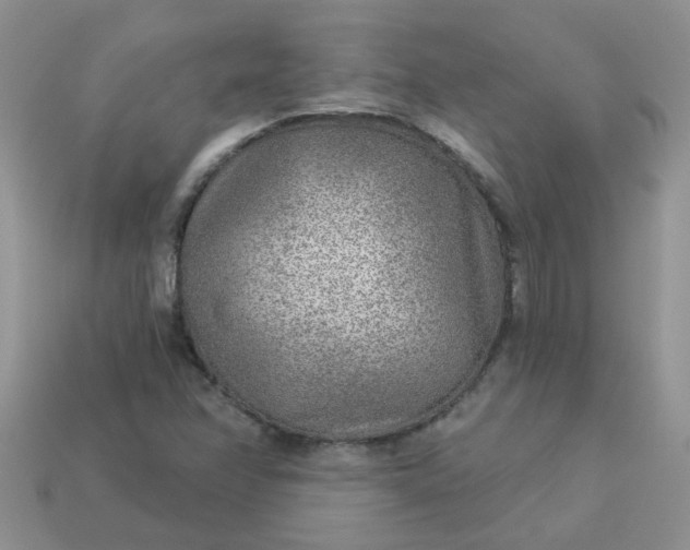 X0000113021358200909101829