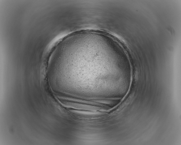 X0000113021359200909101829