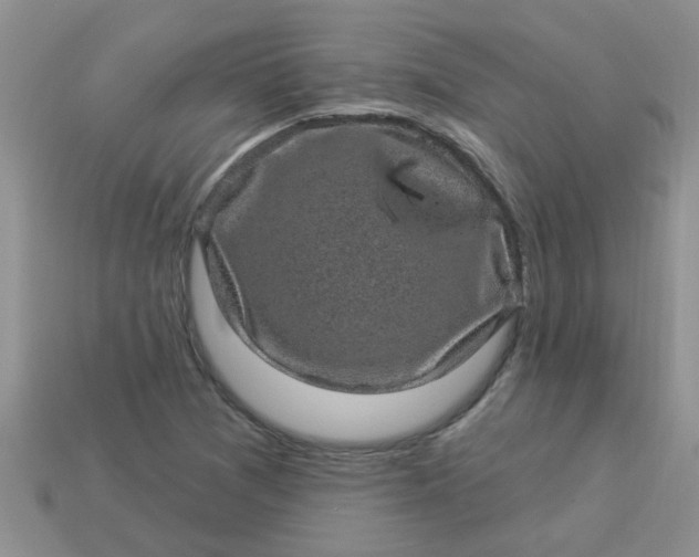 X0000113021361200909101829