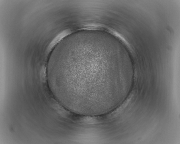 X0000113021362200909101829