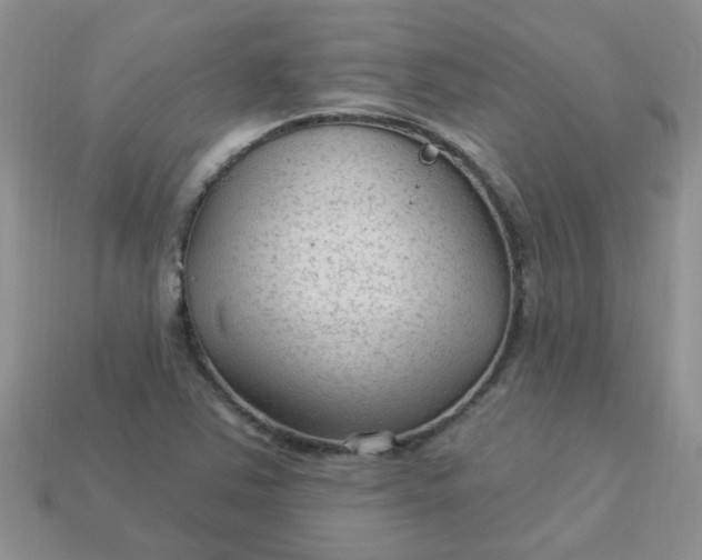 X0000113021363200909101829