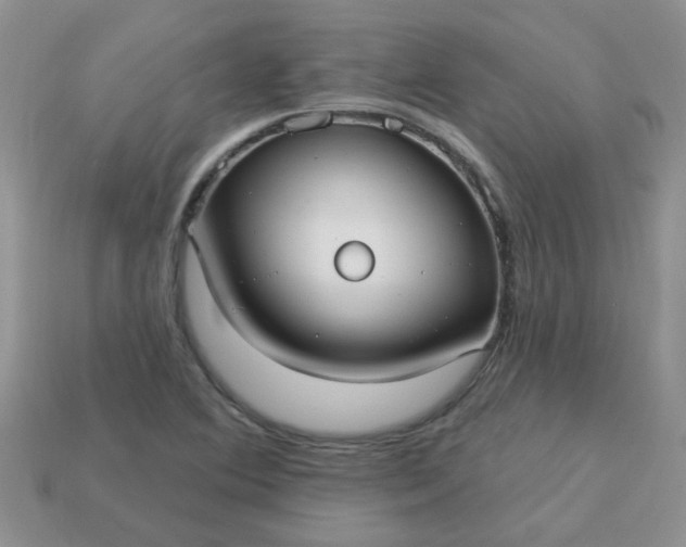X0000113021364200909101829