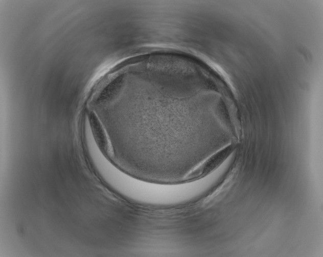 X0000113021365200909101829