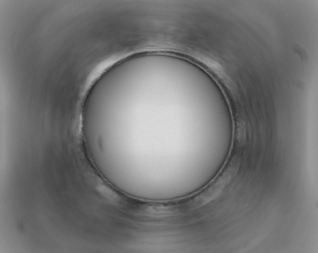 X0000113021366200909101829