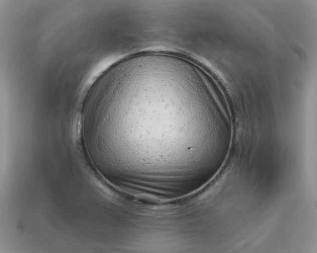 X0000113021367200909101829