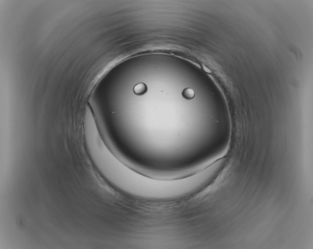 X0000113021369200909101829