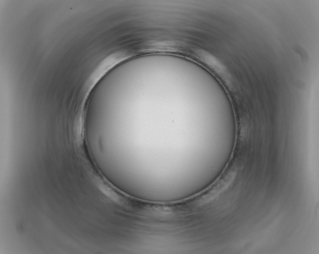 X0000113021370200909101829