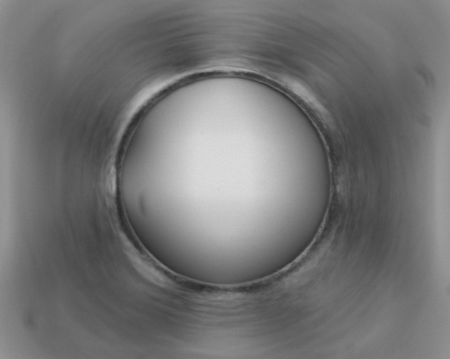 X0000113021372200909101829