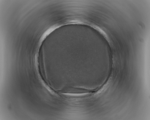 X0000113021373200909101829