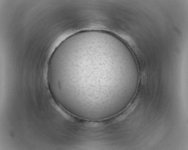 X0000113021374200909101829