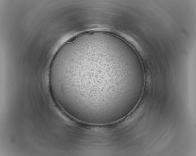 X0000113021375200909101829