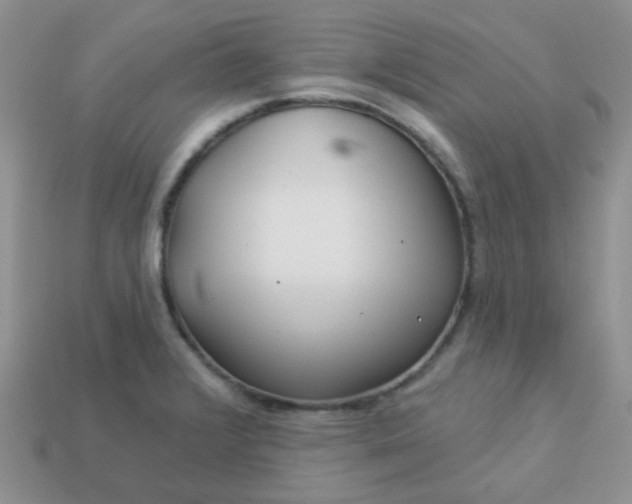 X0000113021376200909101829