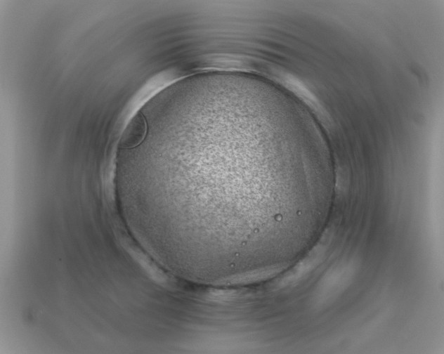 X0000113021378200909101829