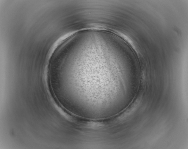 X0000113021379200909101829