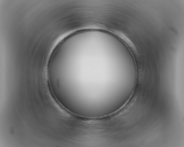 X0000113021380200909101829