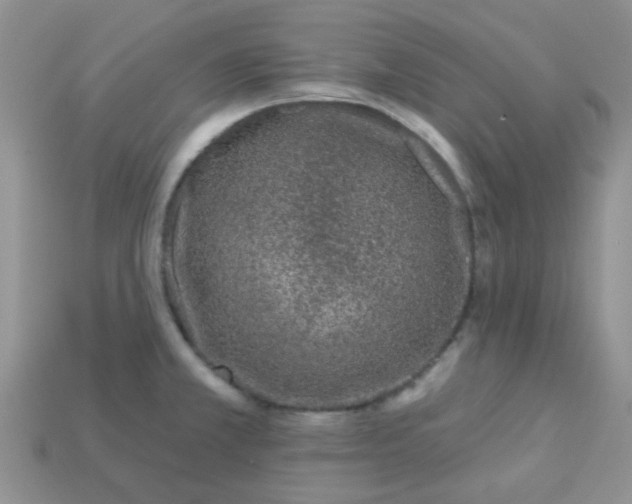 X0000113021381200909101829