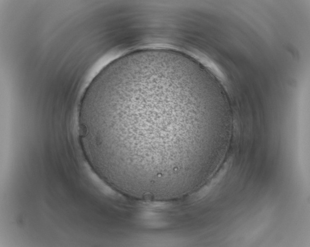 X0000113021382200909101829