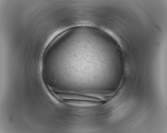 X0000113021383200909101829