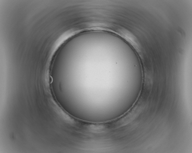 X0000113021384200909101829
