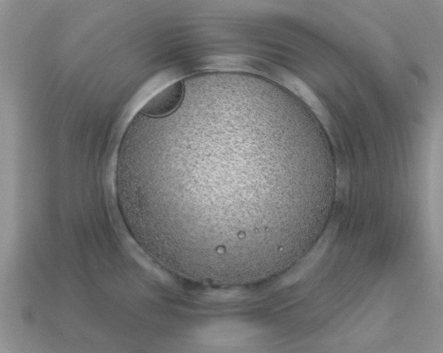 X0000113021386200909101829