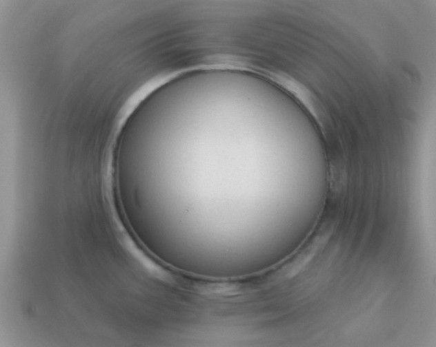X0000113021387200909101829