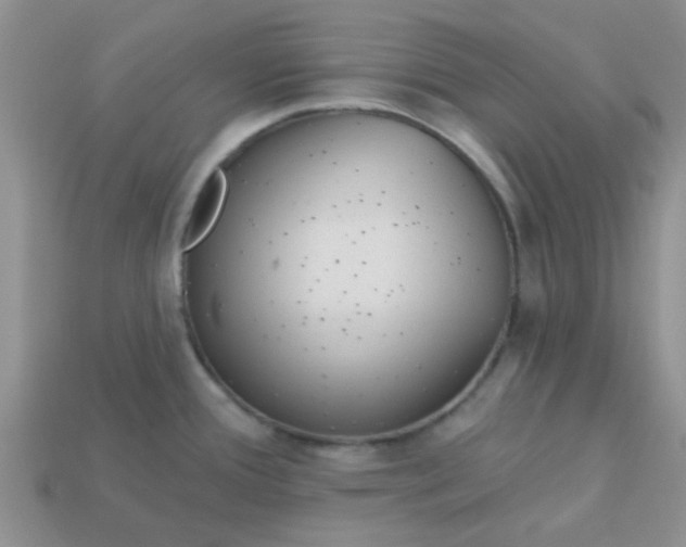 X0000113021388200909101829