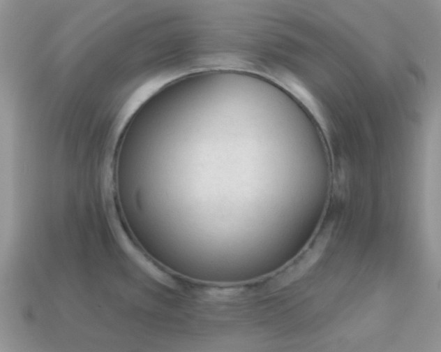 X0000113021389200909101829