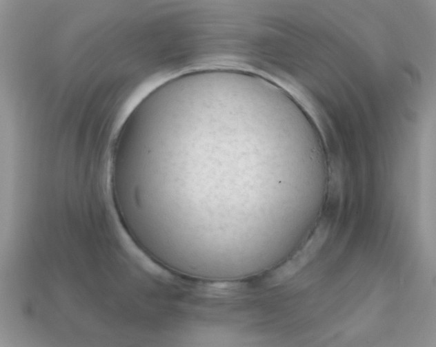 X0000113021390200909101829