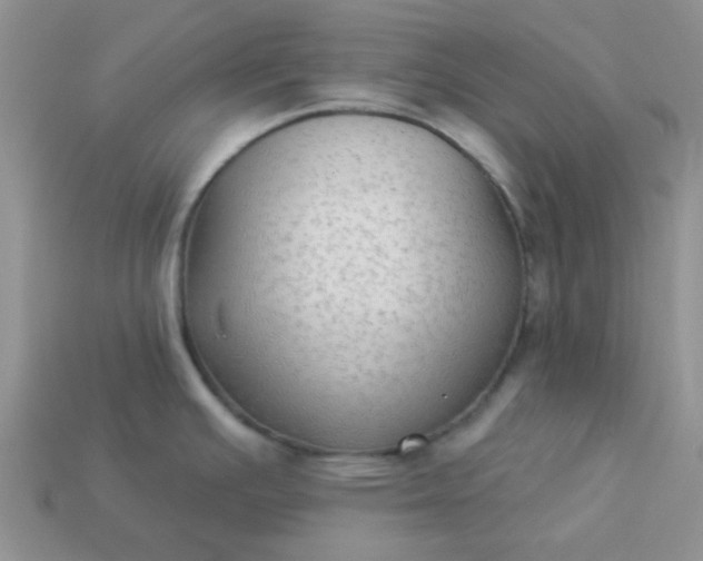 X0000113021391200909101829