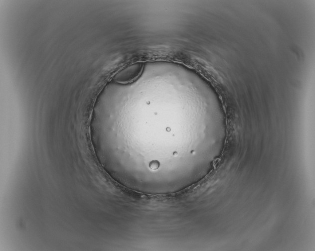 X0000113021393200909101828