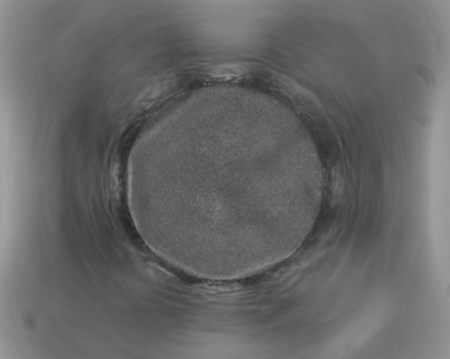 X0000113021394200909101828