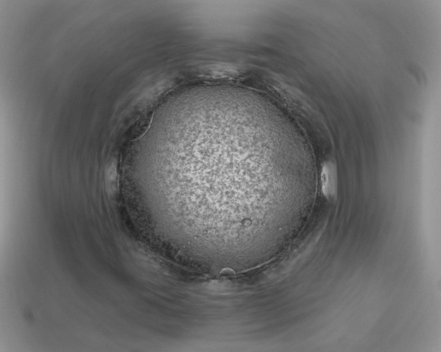X0000113021395200909101828
