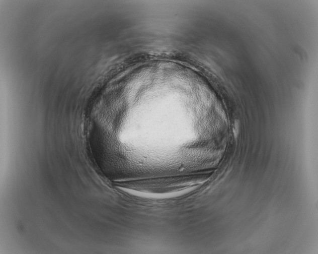 X0000113021396200909101828