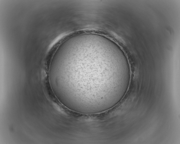 X0000113021400200909101828