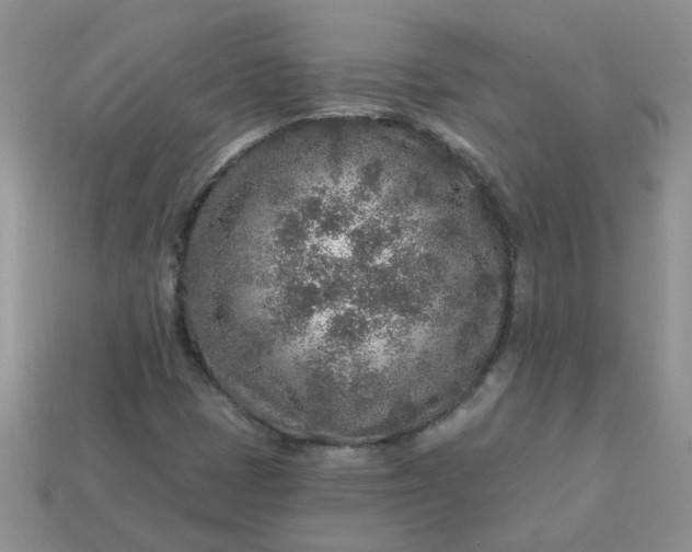 X0000113021401200909101828
