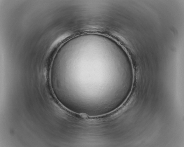 X0000113021402200909101828