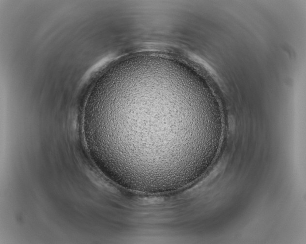 X0000113021403200909101828