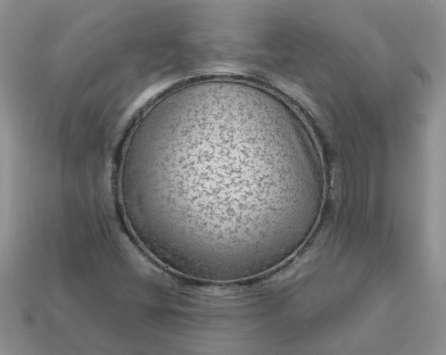 X0000113021404200909101828