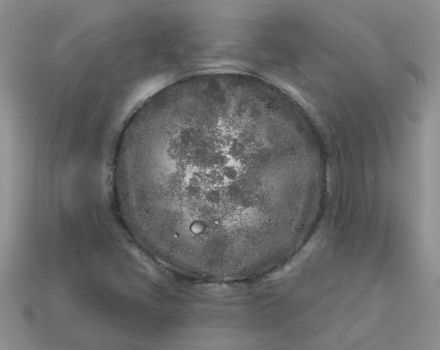 X0000113021405200909101828