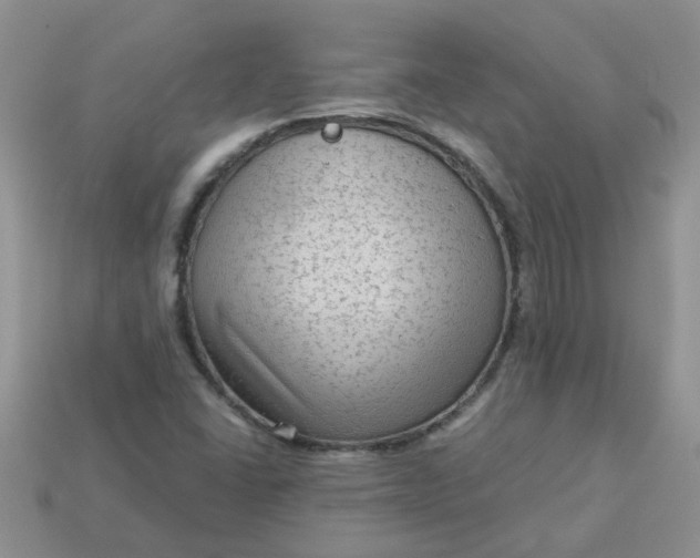 X0000113021406200909101828