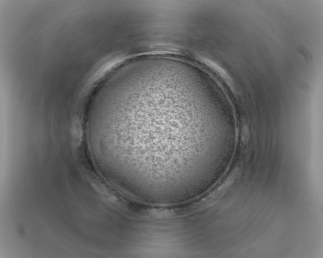 X0000113021407200909101828