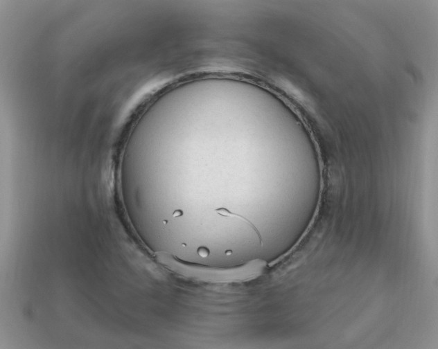 X0000113021408200909101828