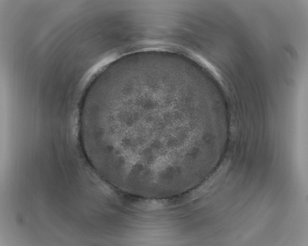 X0000113021411200909101828