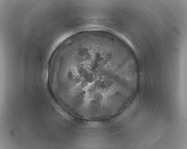 X0000113021413200909101828